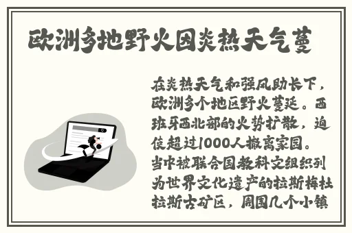 杏色8855.T